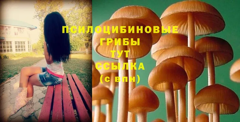 Галлюциногенные грибы Psilocybine cubensis  хочу   Воркута 